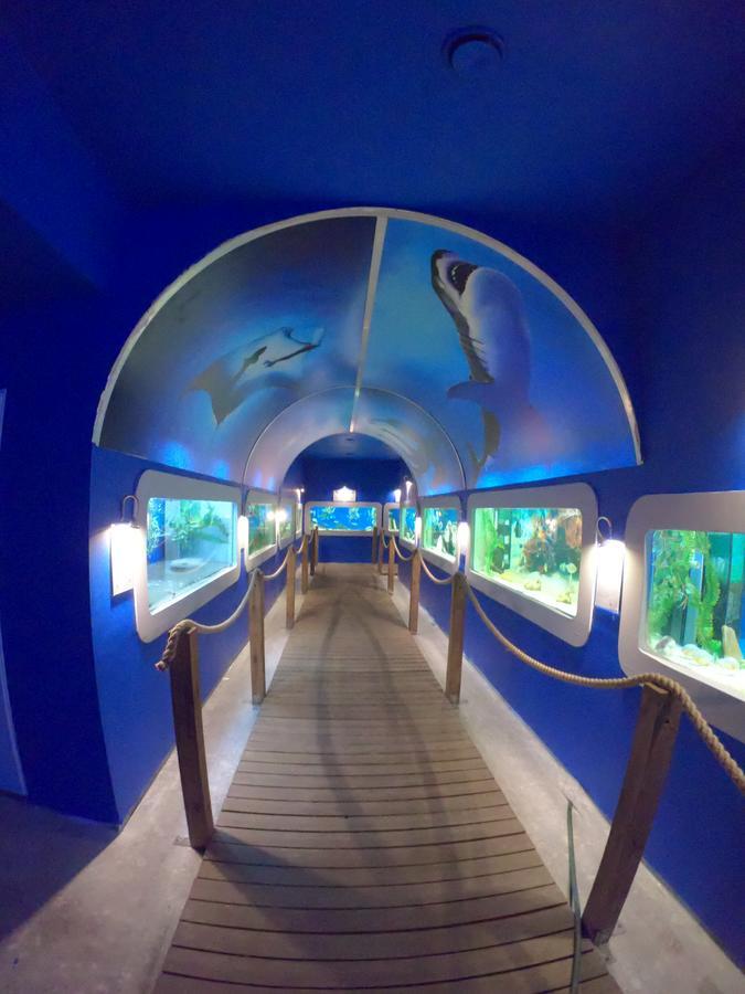 Dolphin House Bed & Breakfast Leba Bagian luar foto