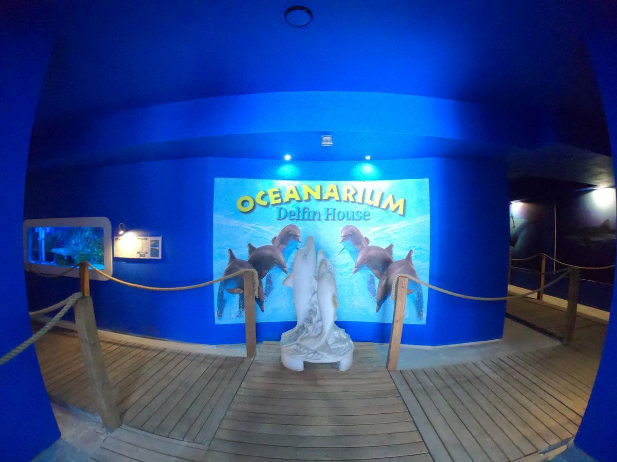 Dolphin House Bed & Breakfast Leba Bagian luar foto